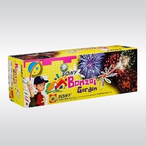 4x5 Shot Sony Fireworks