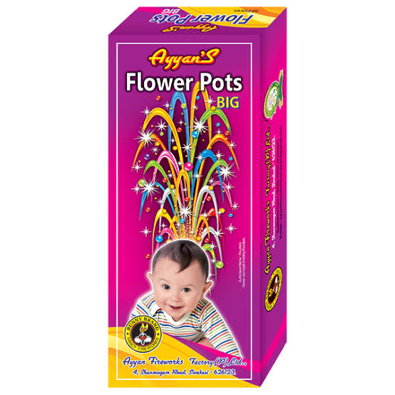 Flower Pot Big